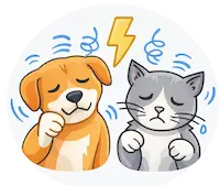 Pets after Seizure Treatment