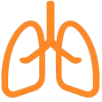 Bordetella Icon
